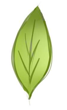 Leaf Concept