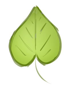 Leaf Concept 2