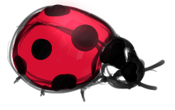 Ladybug concept