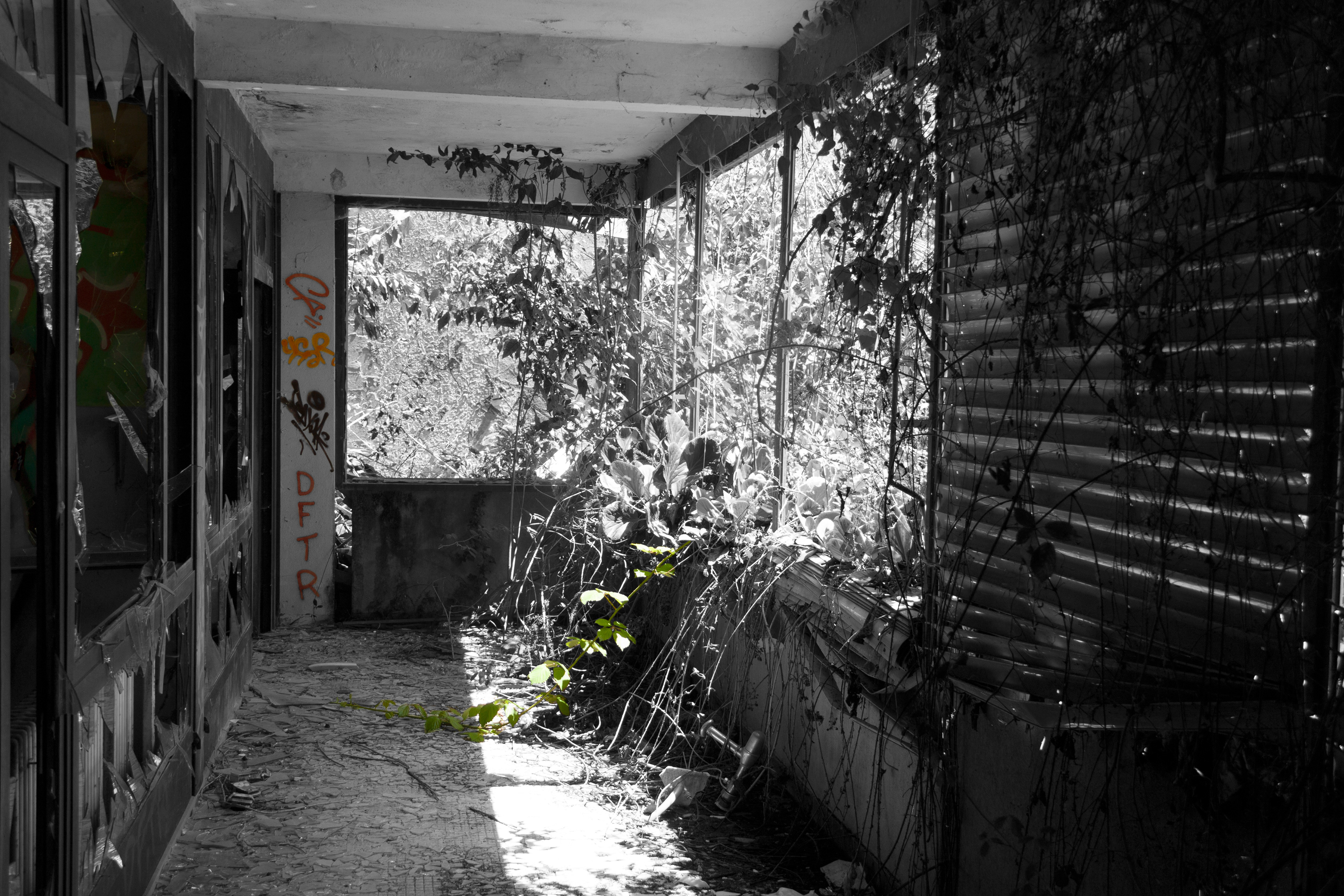 7 - Ex sanatorio - Medoscio