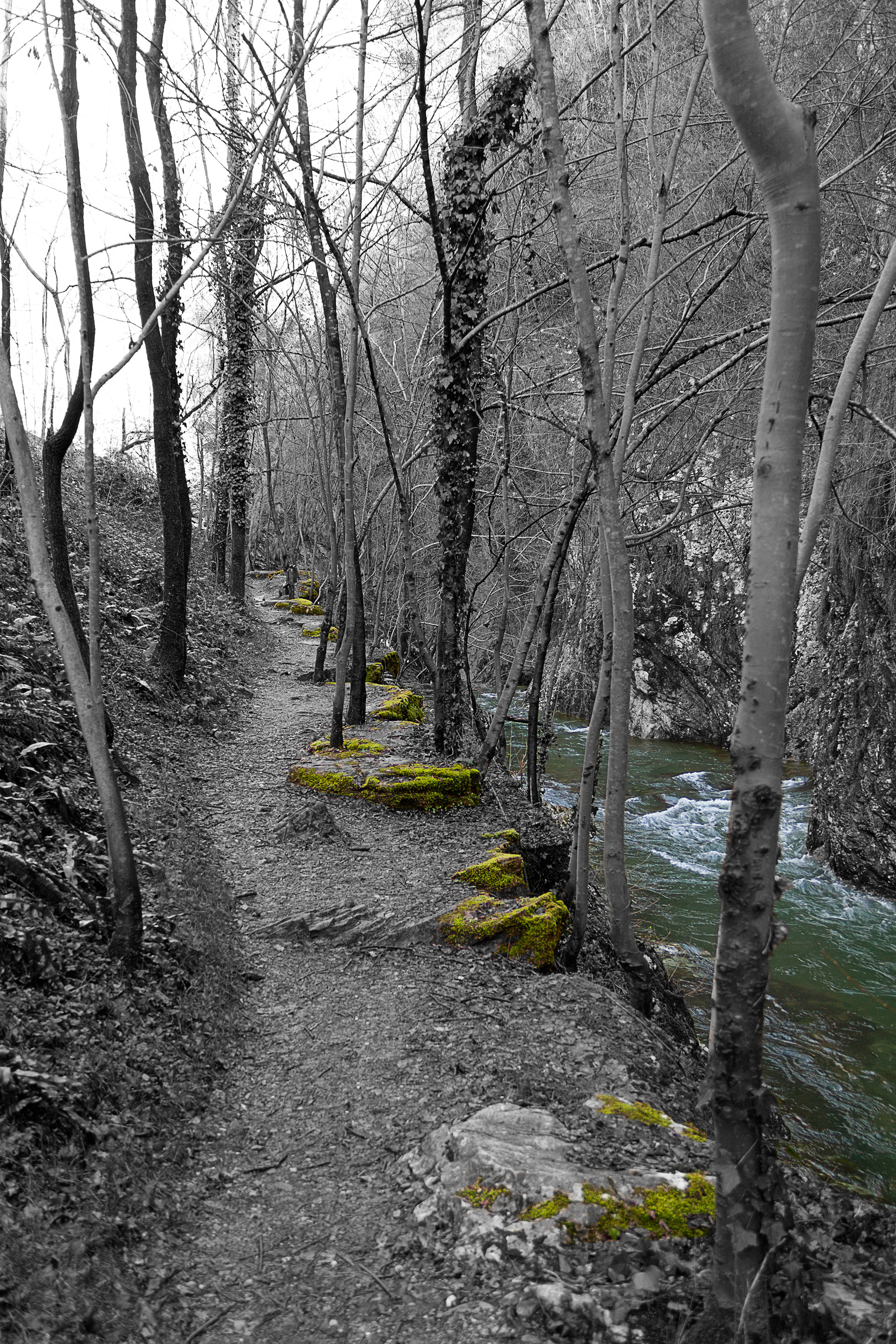 37 - Gole della Breggia