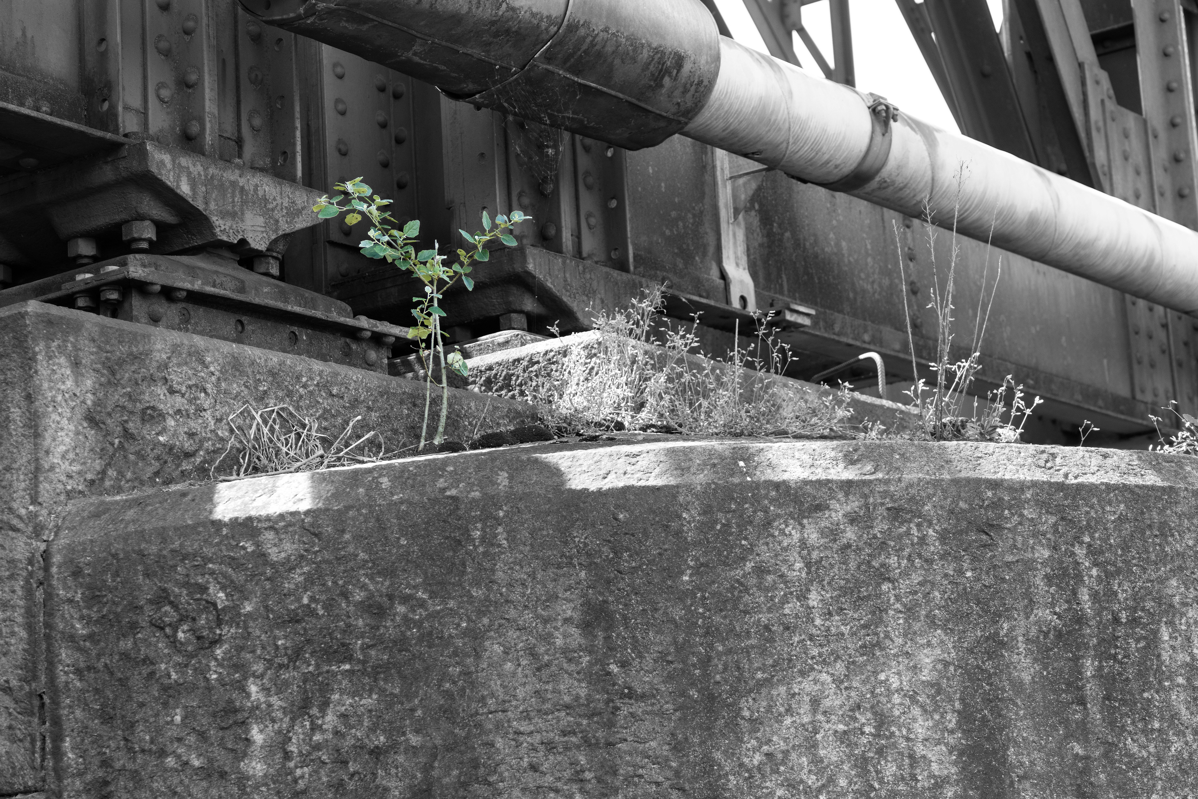9 - Ponte ferroviario sul Ticino - Cugnasco
