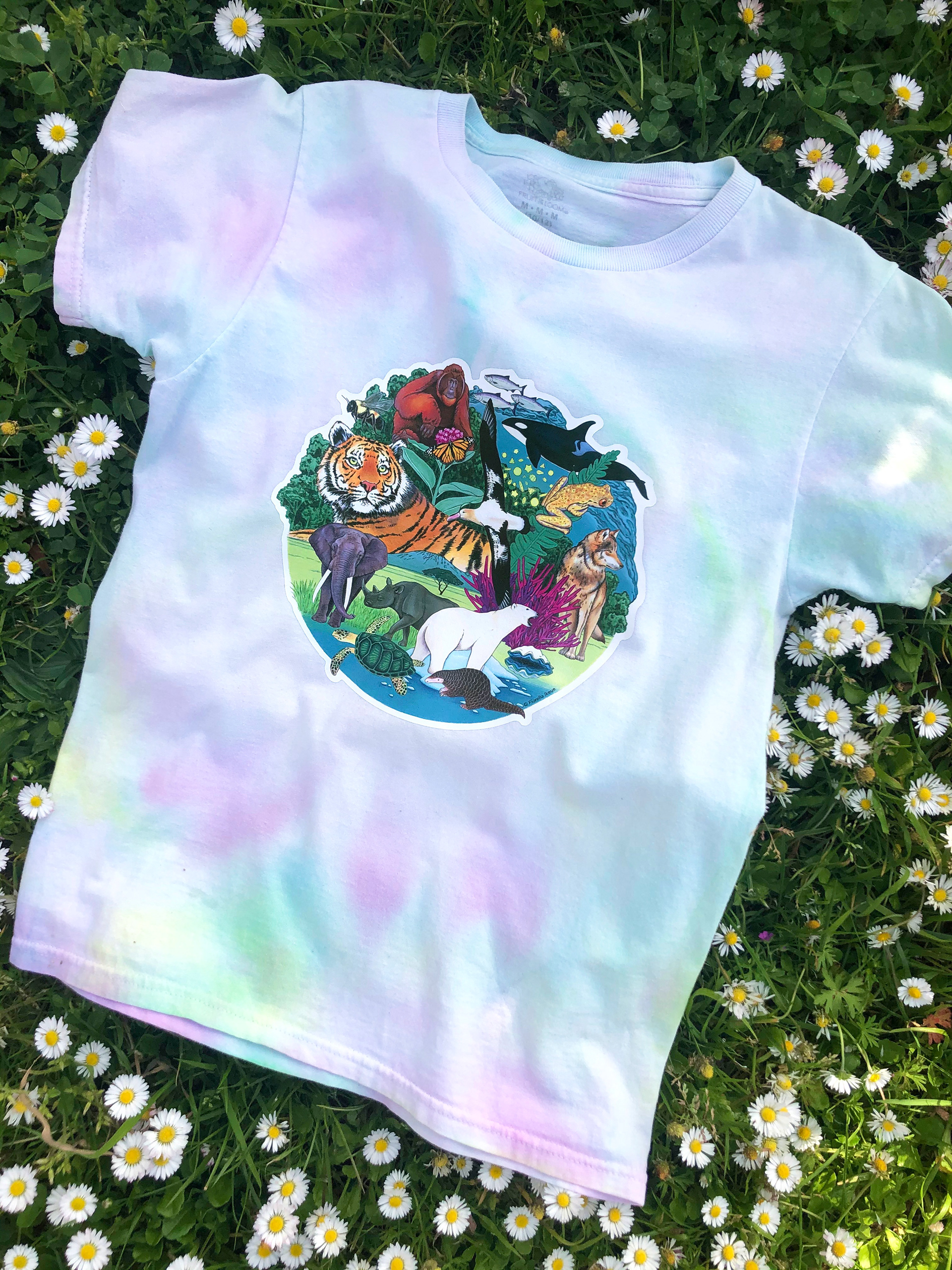 Endangered species and habitats in a collaboration with Stevie from Yay for Earth, a t-shirt decal for Earth Day 2020