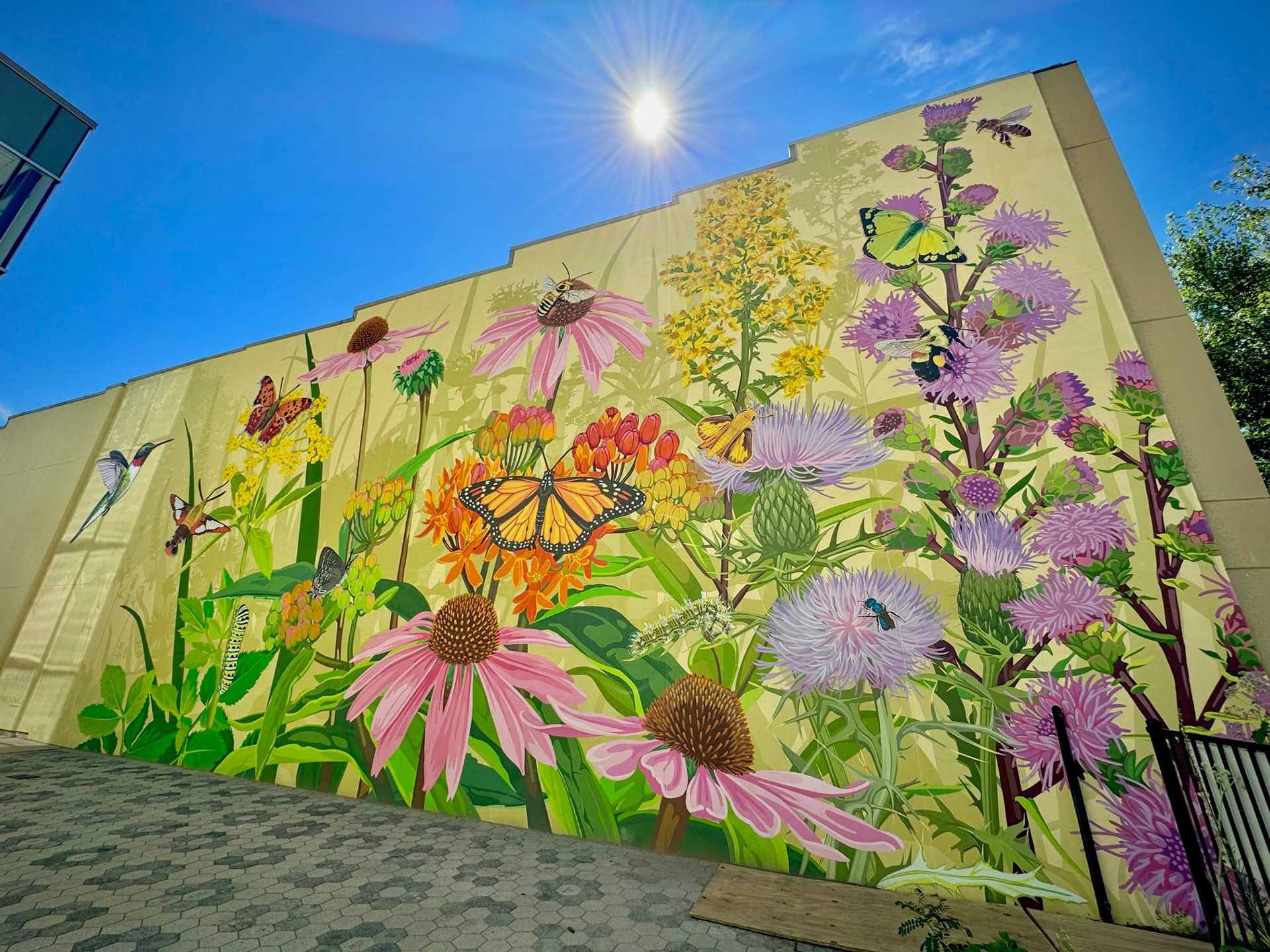 Colorful mural featuring flora and fauna insects 