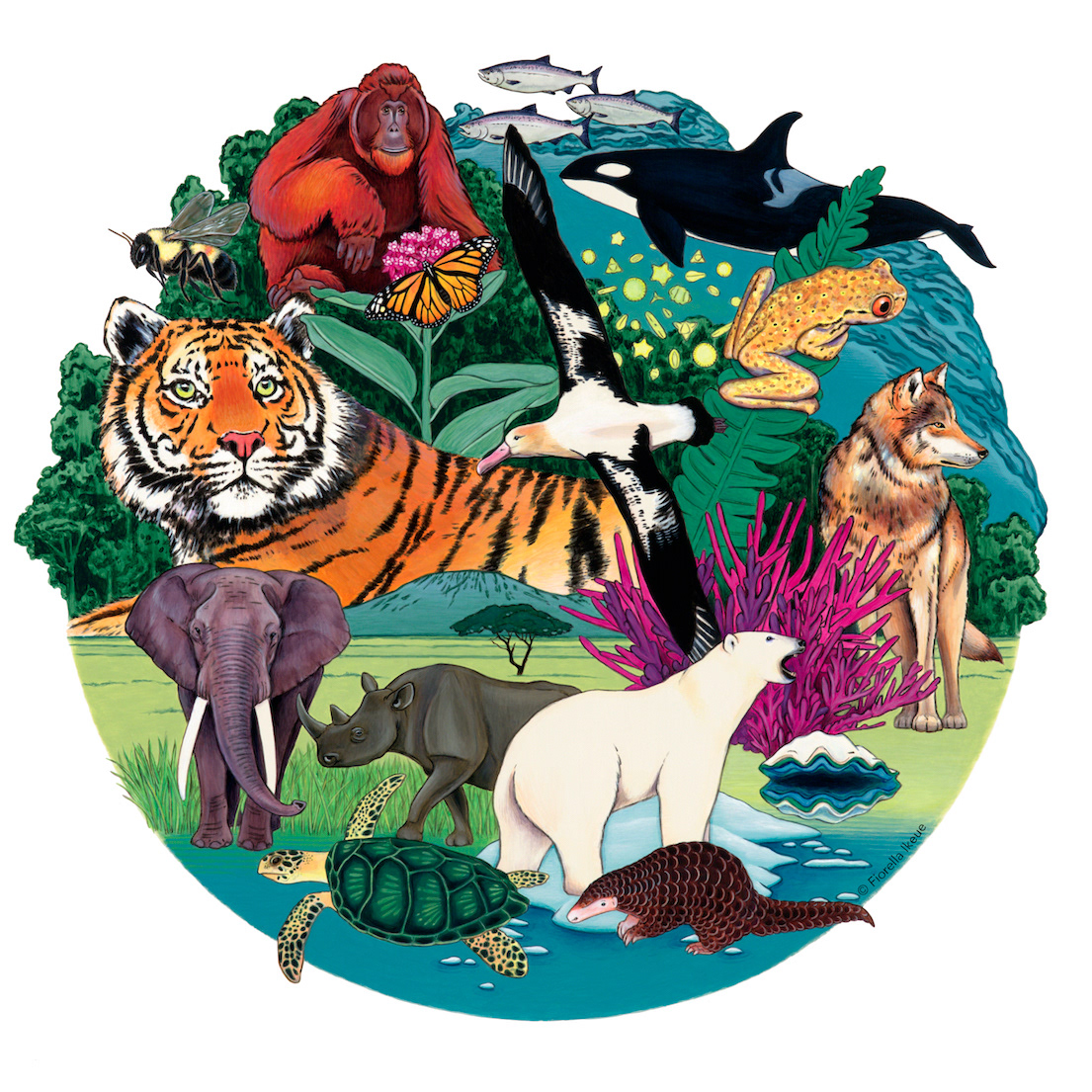 Painting of endangered species and habitats in a collaboration with Stevie from Yay for Earth