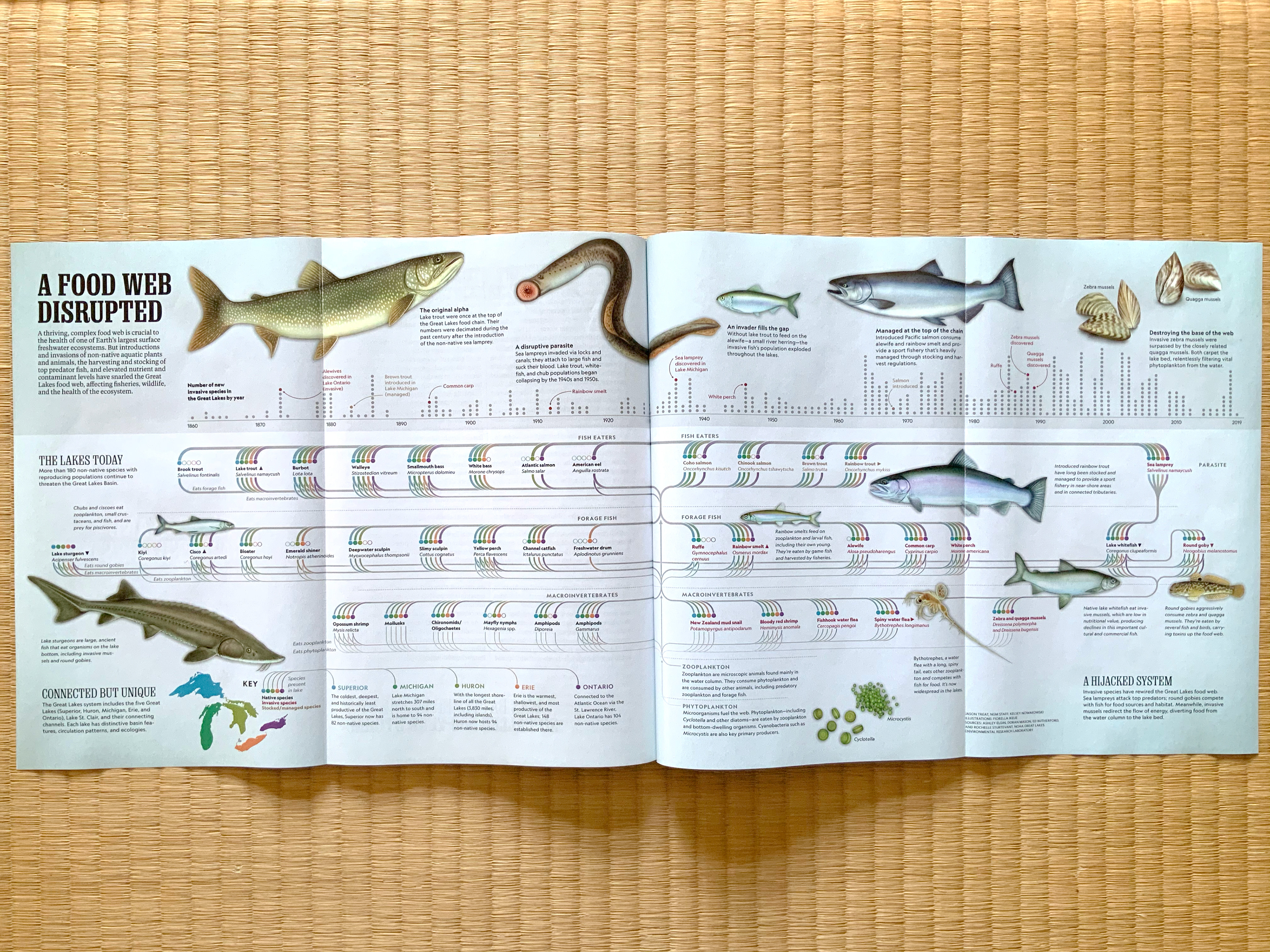 National Geographic magazine story on the Great Lakes and its food web