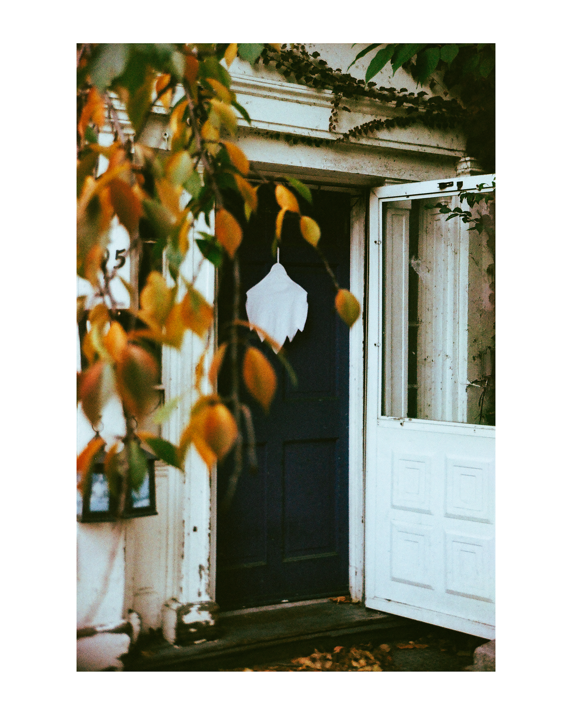 Spooooooky - Pentax K1000 - Vivitar 28-105mm - Ilford Ilfocolor 400 Plus