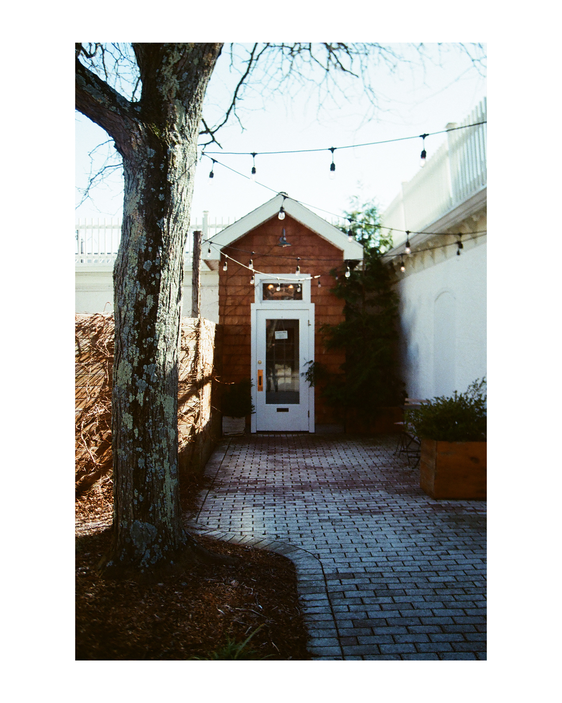 Canoe Hill - Millbrook, NY - March 2024 - Pentax K1000 - Vivitar 28-105mm - Fujifilm Fujicolor Superia X-TRA 400