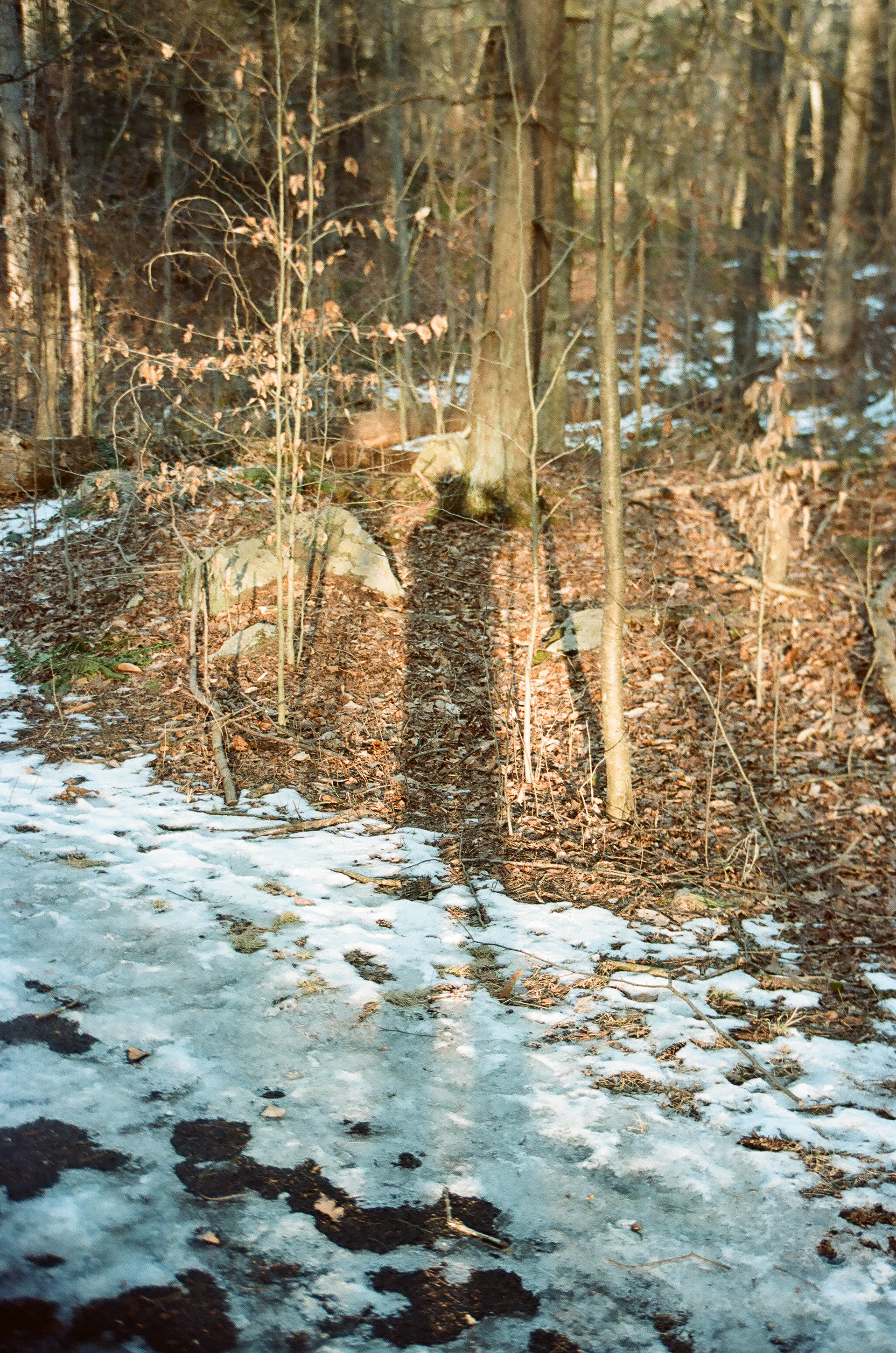 End of Winter 2025