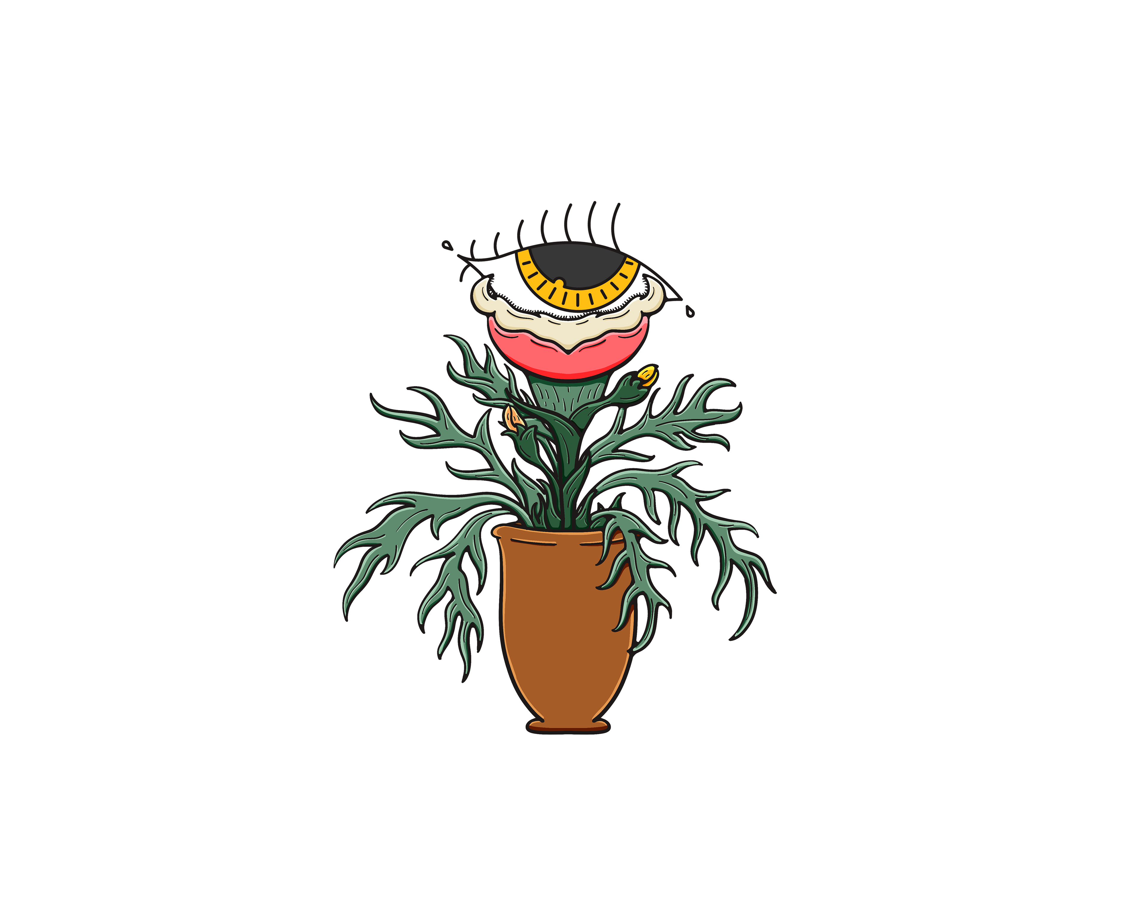 Mira Mira - Fly Trap