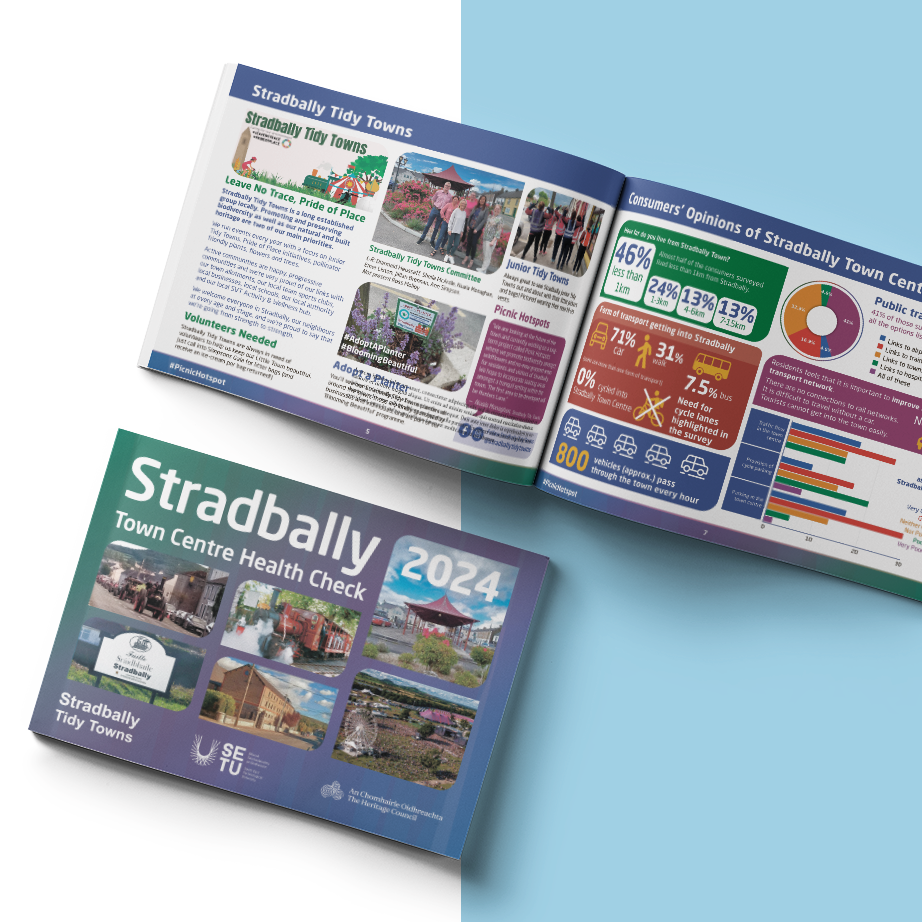 Stradbally Town Centre Health Check