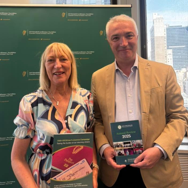 Safe Home Ireland Annual Review