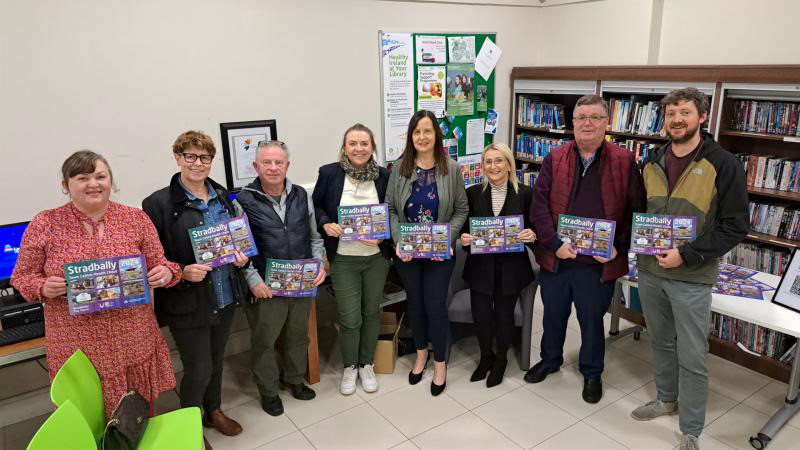 Stradbally Town Centre Health Check 