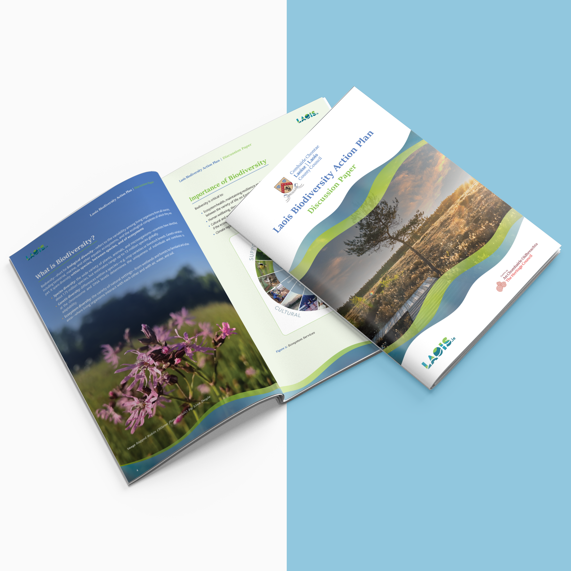 Laois County Council Biodiversity Plan