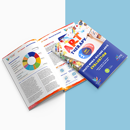 Youth Work Ireland Laois Report