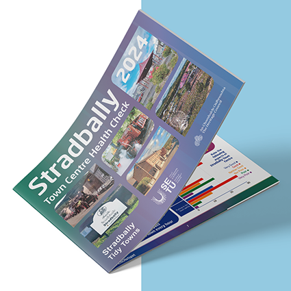Stradbally Town Centre Health Check Report