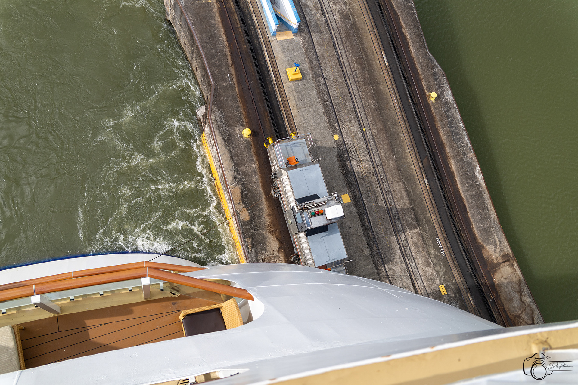 Mule from Rear of Ship