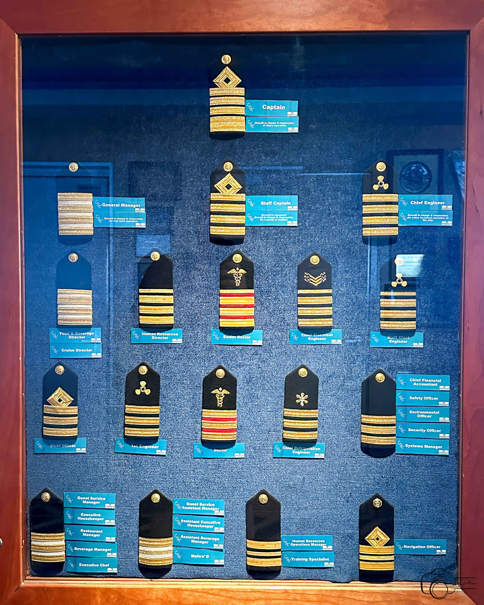 Cruise Ship Rank Display