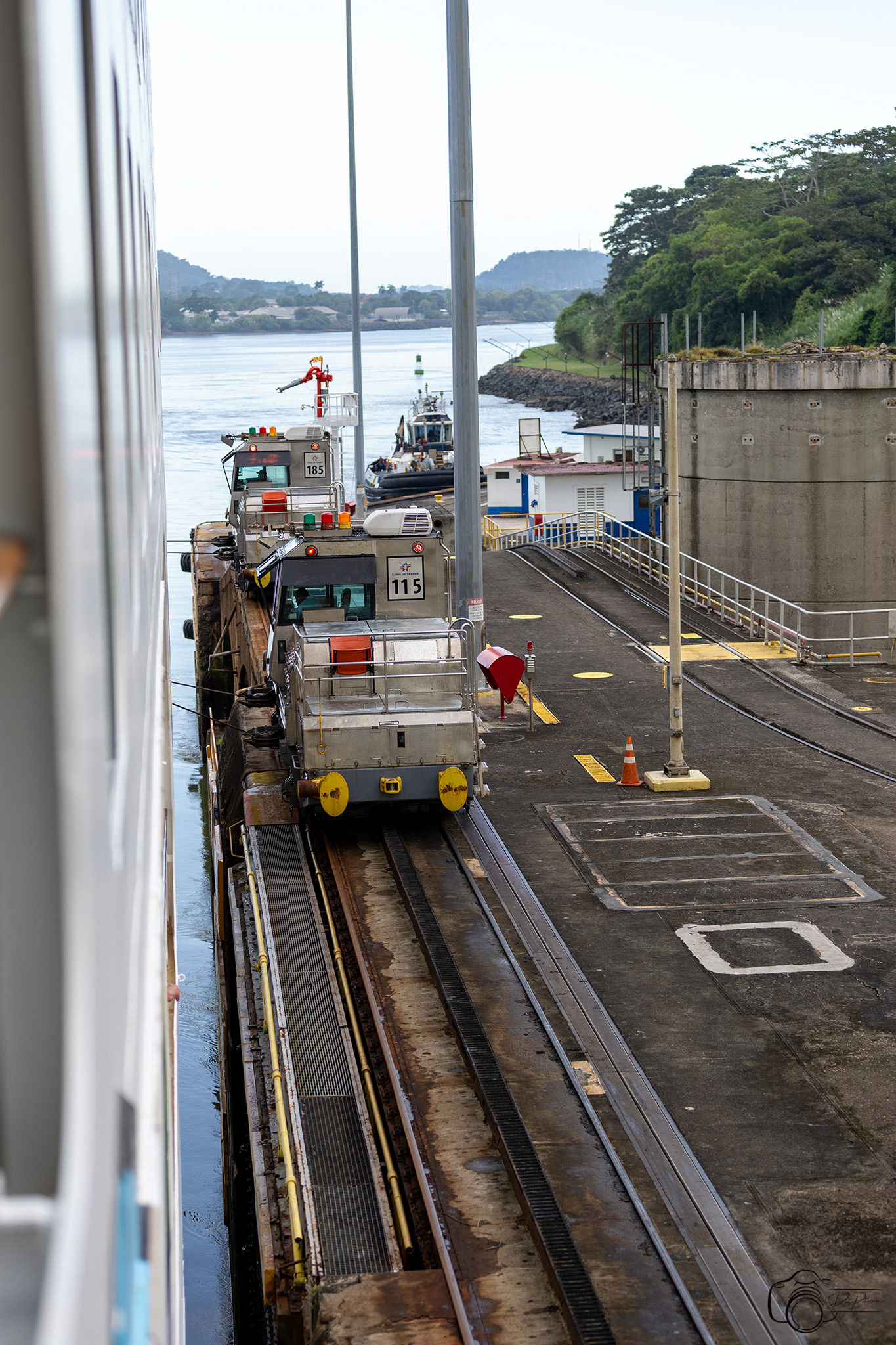 Mules Miraflores Locks