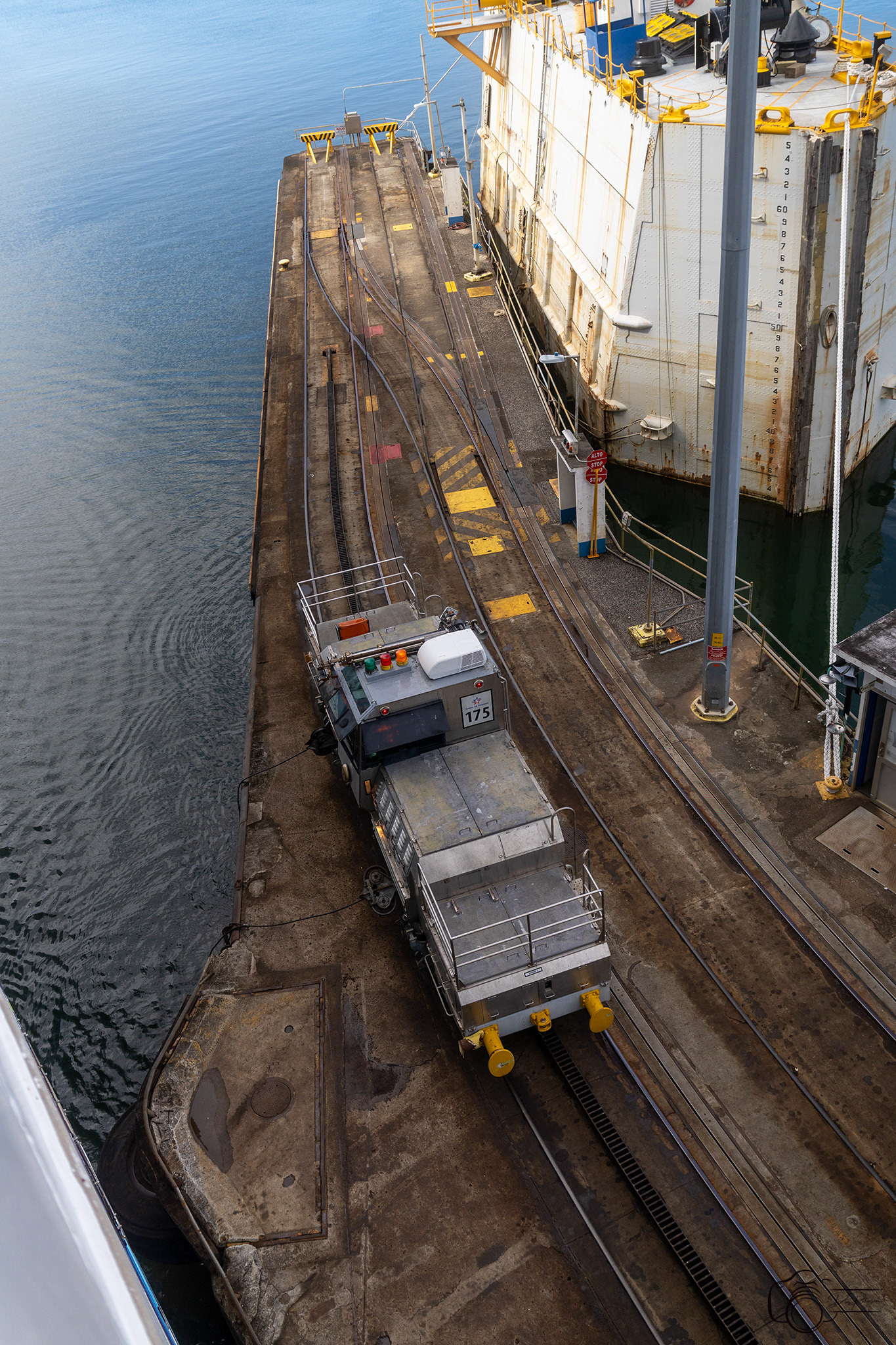 Mules Exiting Gatun Locks