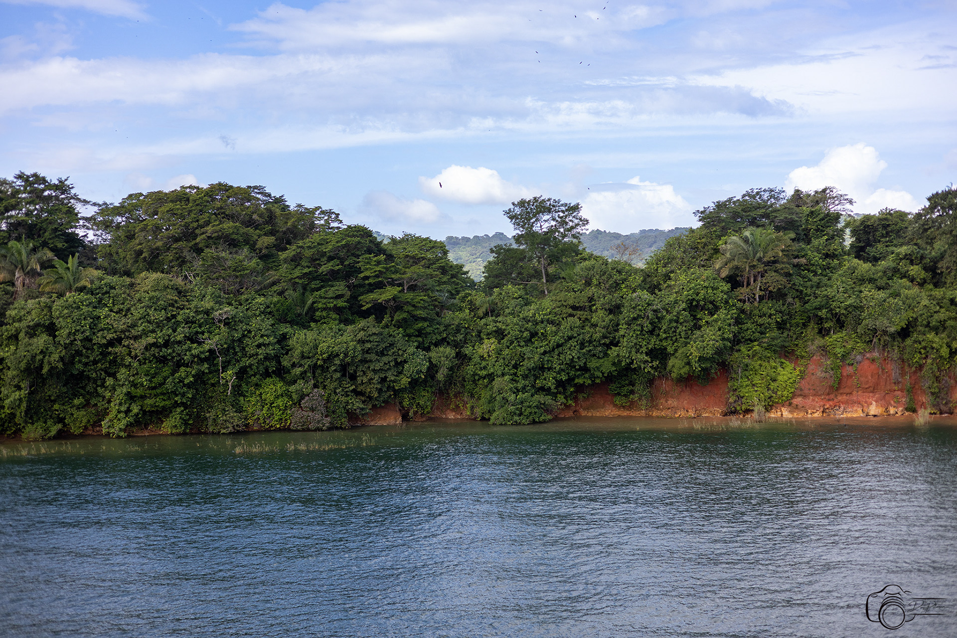 Gatun Lake Landscape