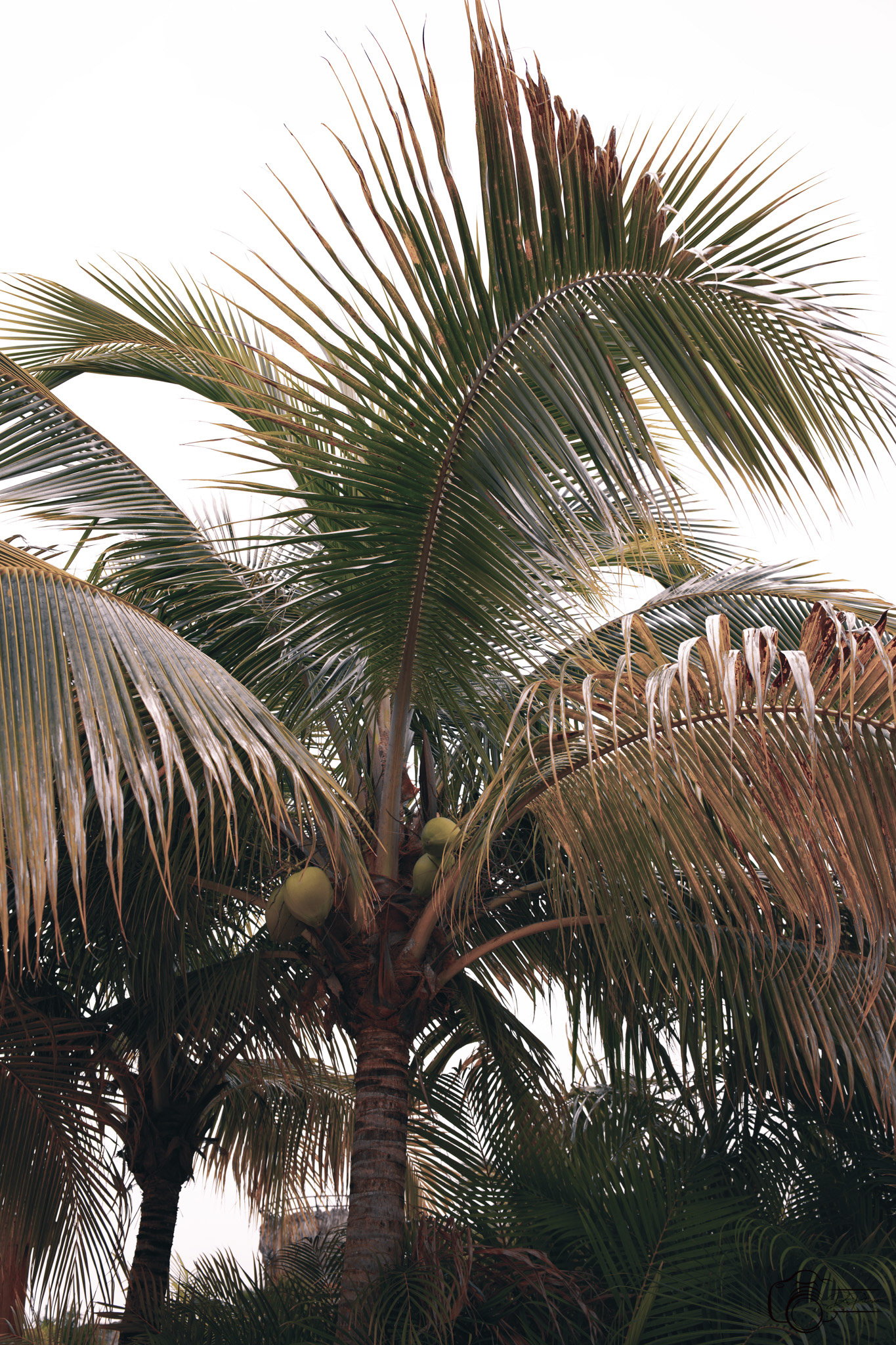 Puerto Plata, Dominican Republic