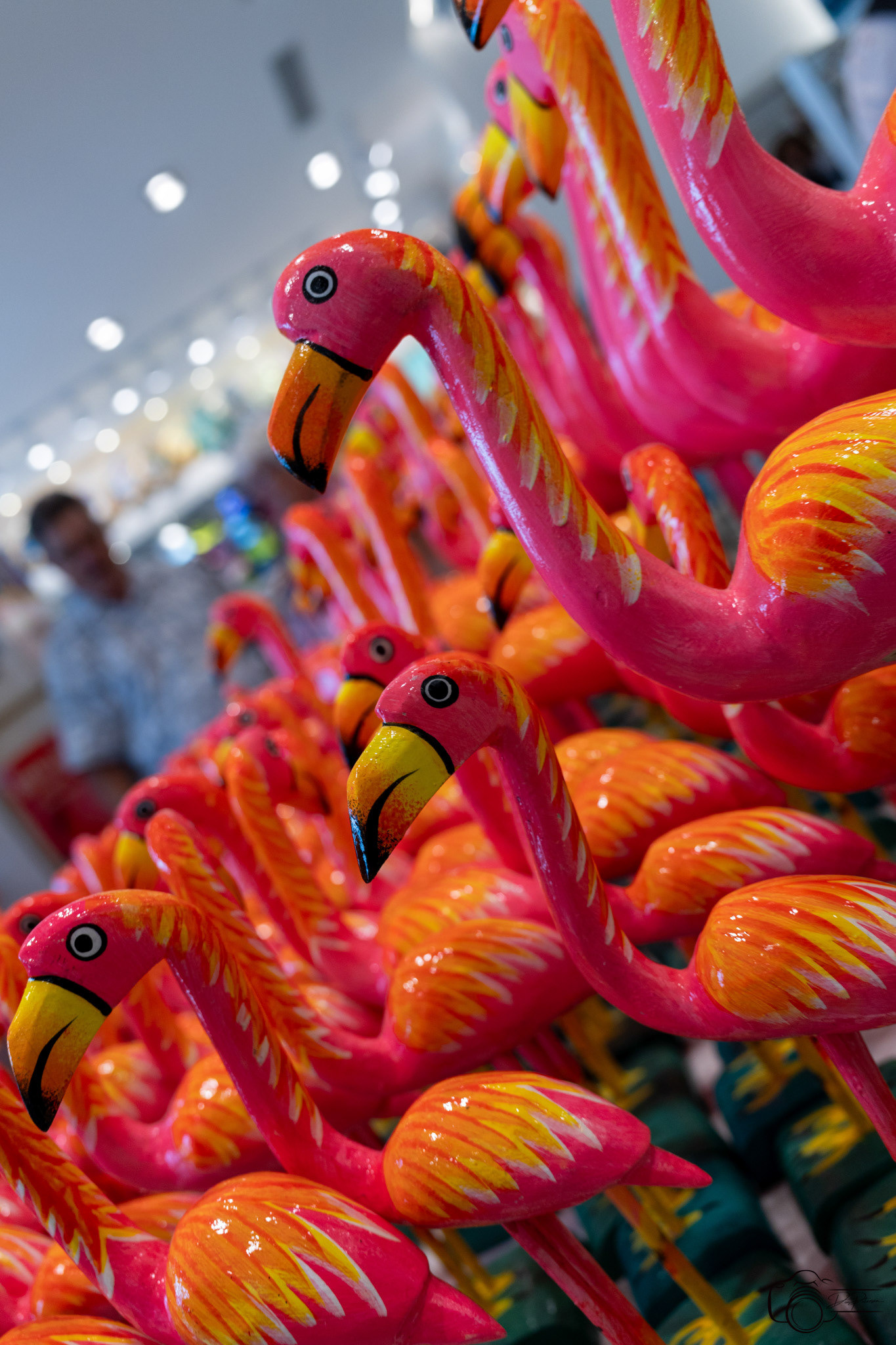 Puerto Plata, Dominican Republic