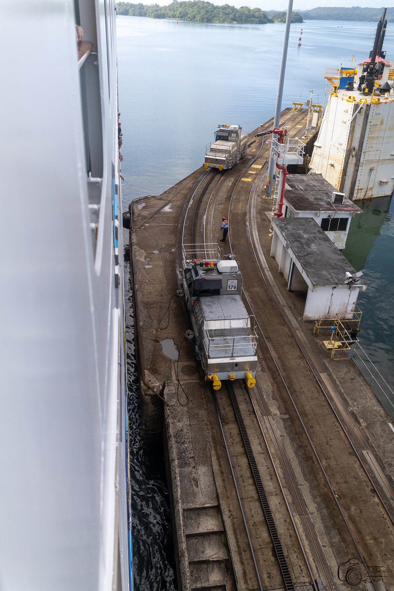 Mules Exiting Gatun Locks