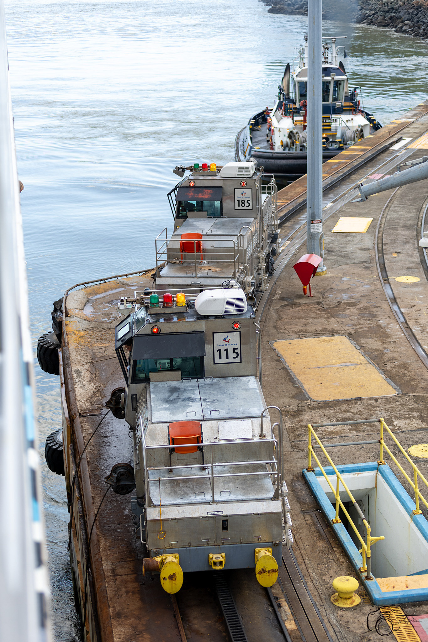 Mules Exiting Miraflores Locks