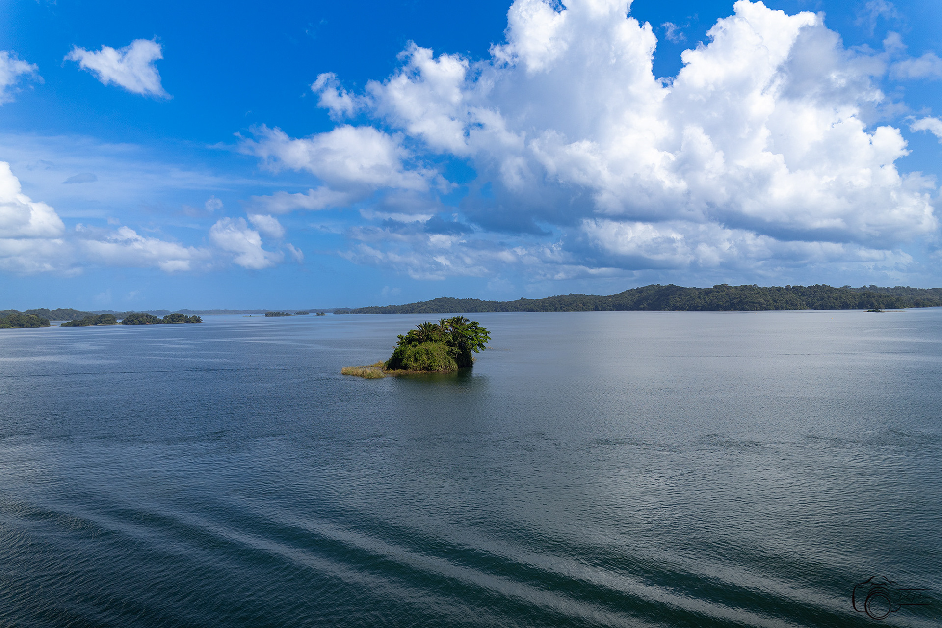 Gatun Lake Landscape