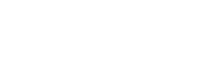 Pluconex Official