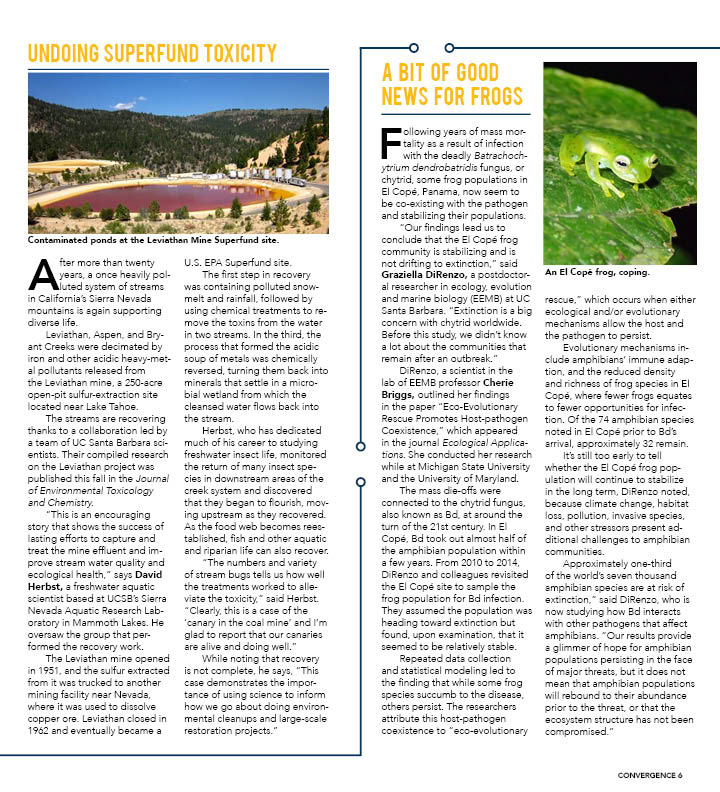 Convergence Magazine (3/4)