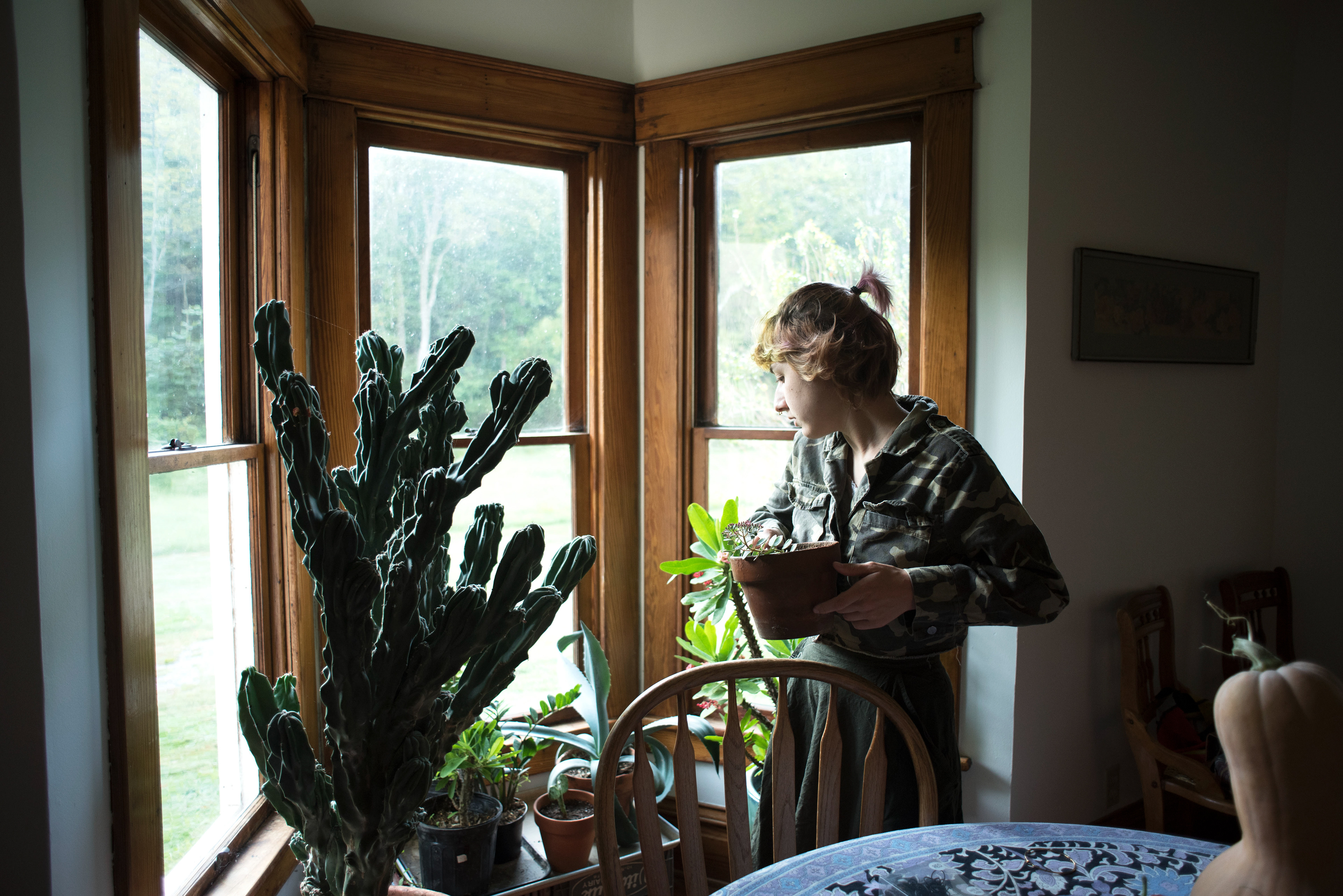 Bee Irwin and their plants. September 10, 2019