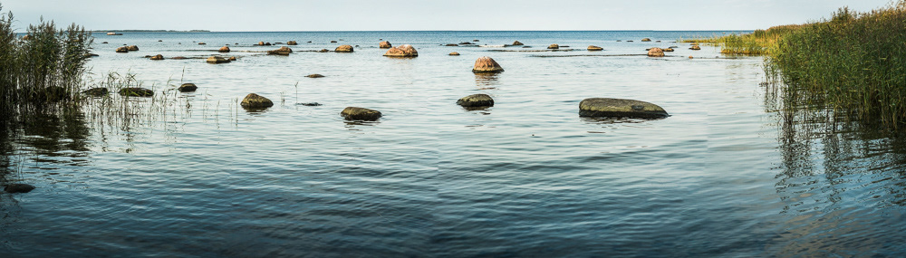 Costa Mar Báltico, cerca de Gdansk, Polonia, 2018.