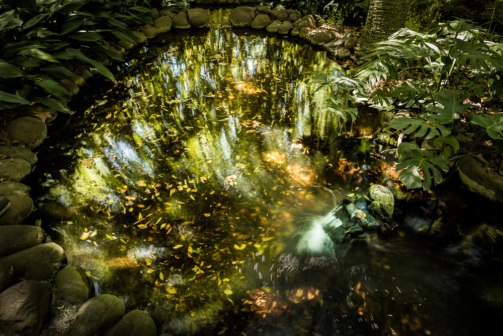 Jardín La Concepción, Málaga, 2018.