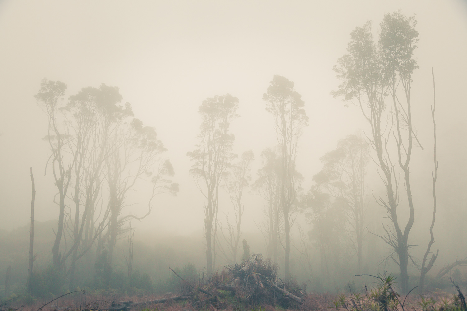 Cerca de Grampians Park, Australia, 2017.