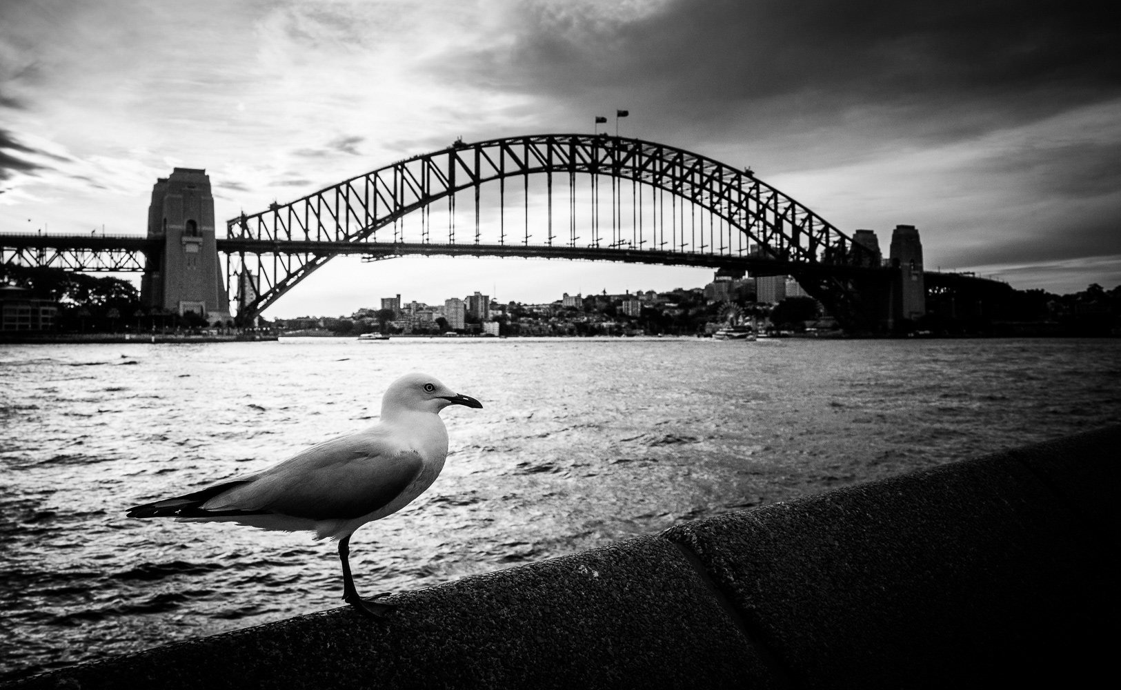 Sidney, Australia, 2017.