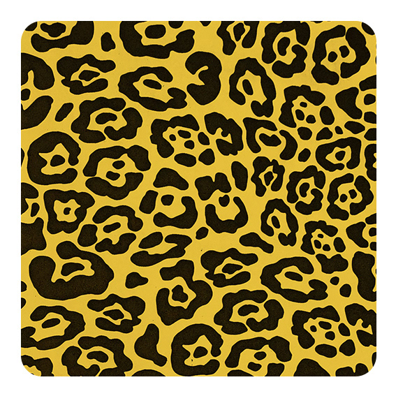 Jaguar’s black spots are called "rosettes" because they are shaped like roses