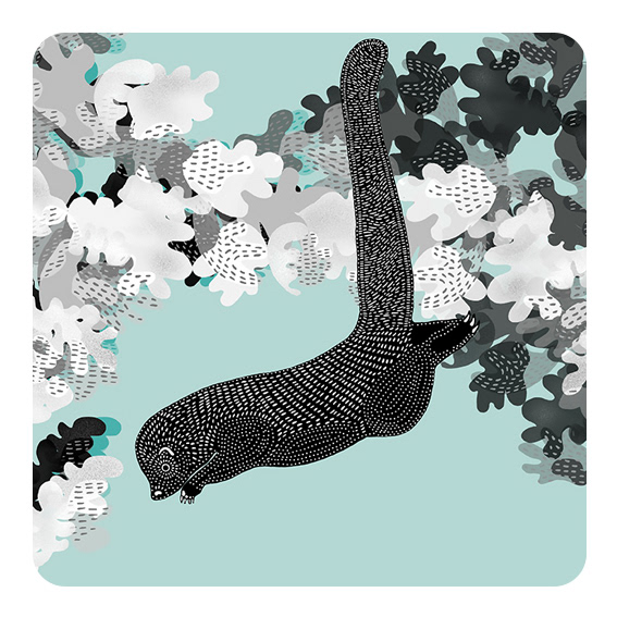 OLINGUITO JUMPING BETWEEN TREES DIGITAL ILLUSTRATION 2019 Olinguitos are really good jumpers and they love to jump from tree to tree.