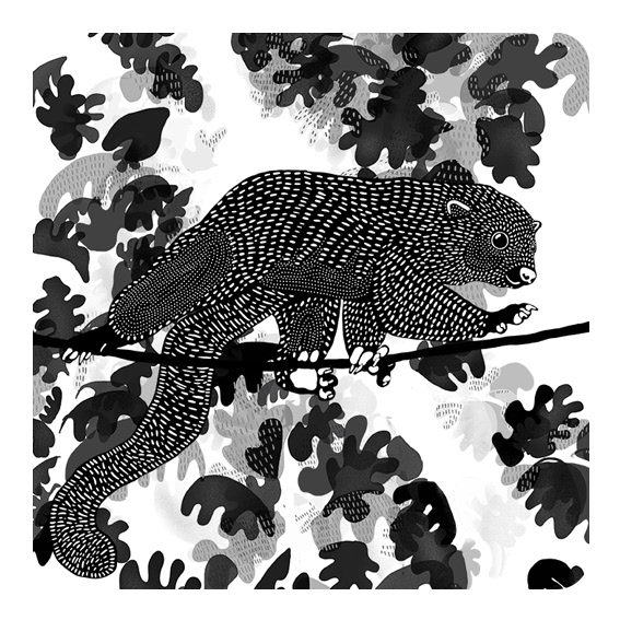 OLINGUITO WALKING ON TREE DIGITAL ILLUSTRATION 2019 Olinguitos live up the trees.