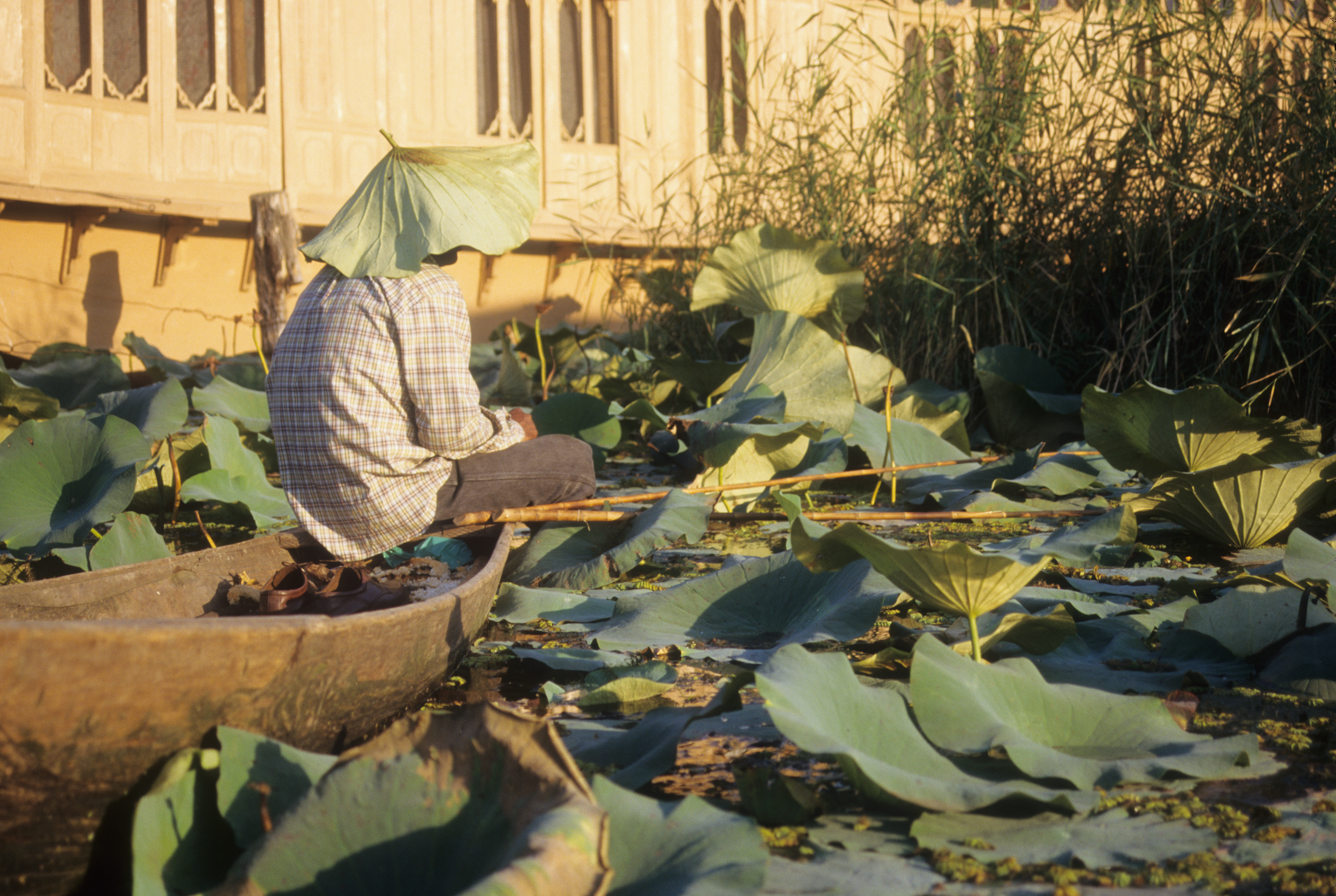 Myanmar