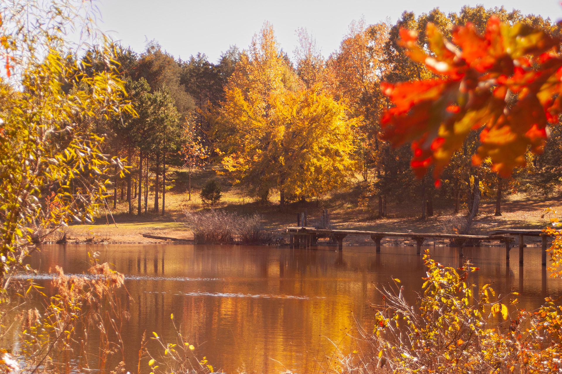 Autumn breeze