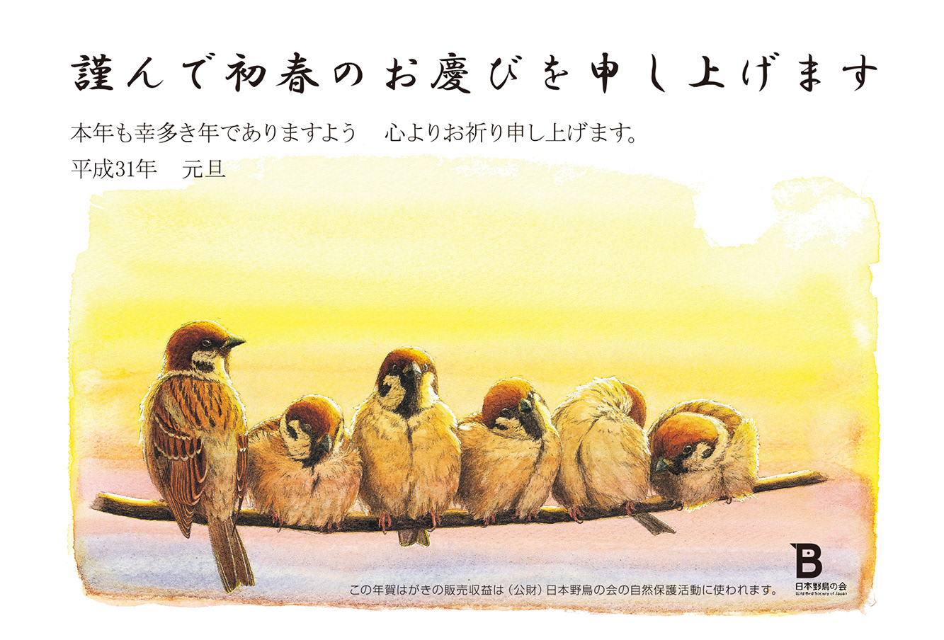 スズメ - 年賀状 2019年/Eurasian Tree Sparrow