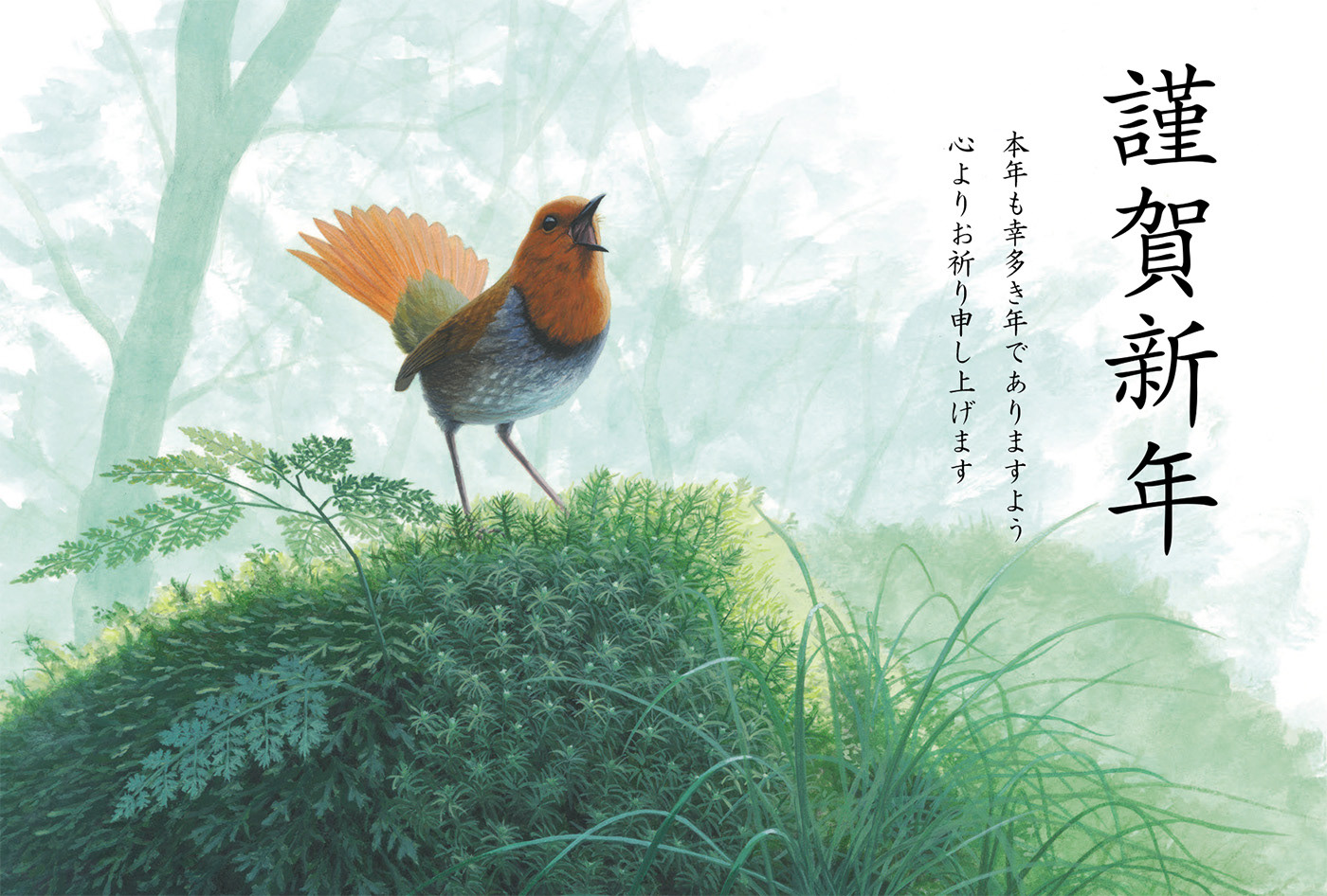 コマドリ - ポストカード/Japanese Robin - postcard