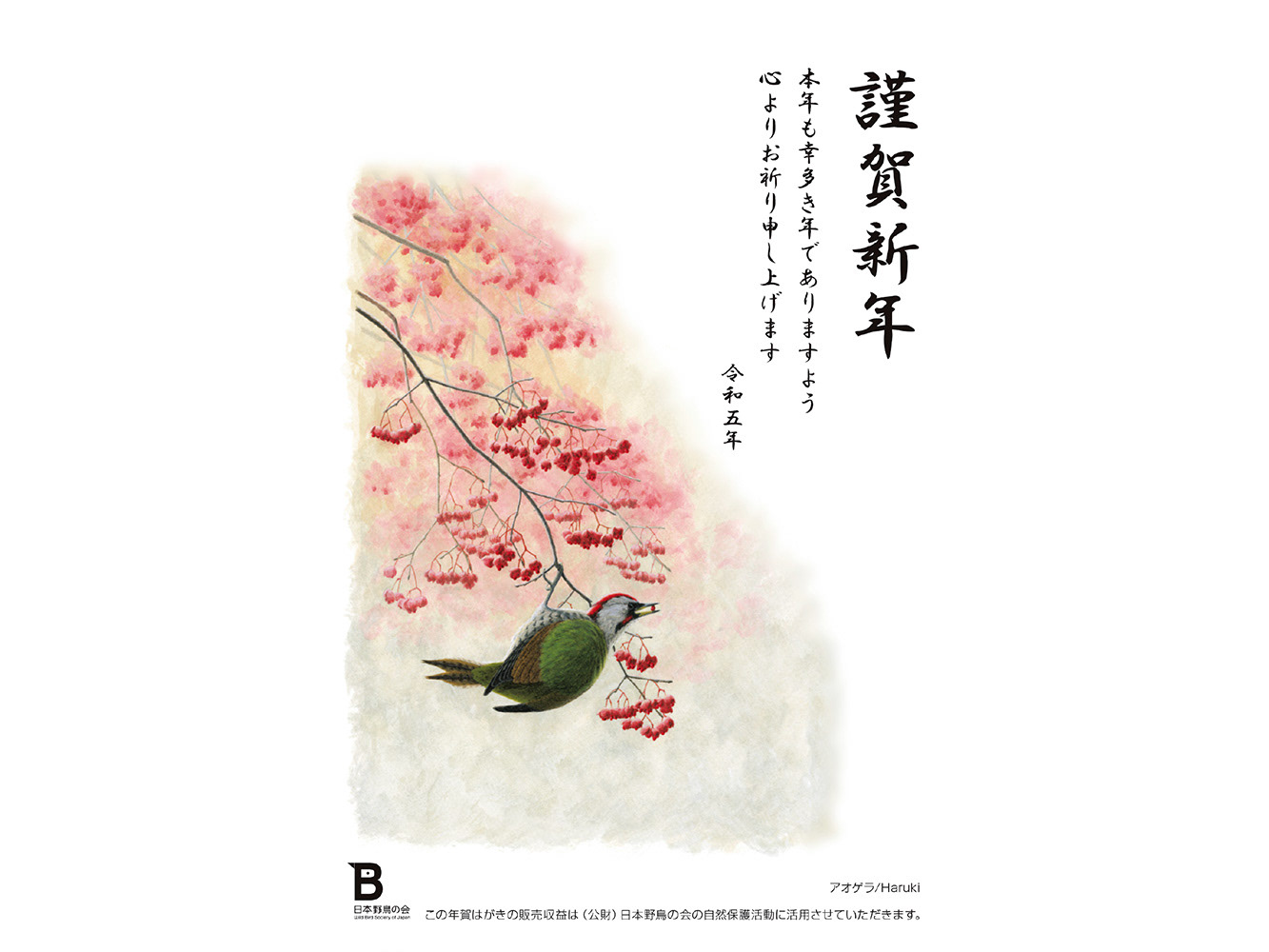 アオゲラ - 年賀状 2023年/Japanese Green Woodpecker - 2024 New Year's card
