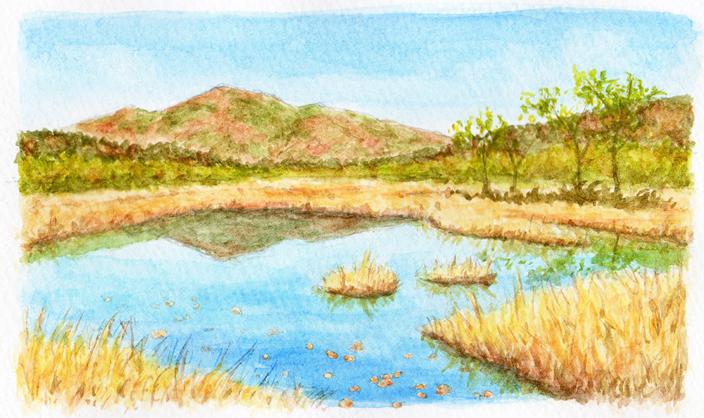 秋の湿原(2022年9・10月号)- Autumn wetland