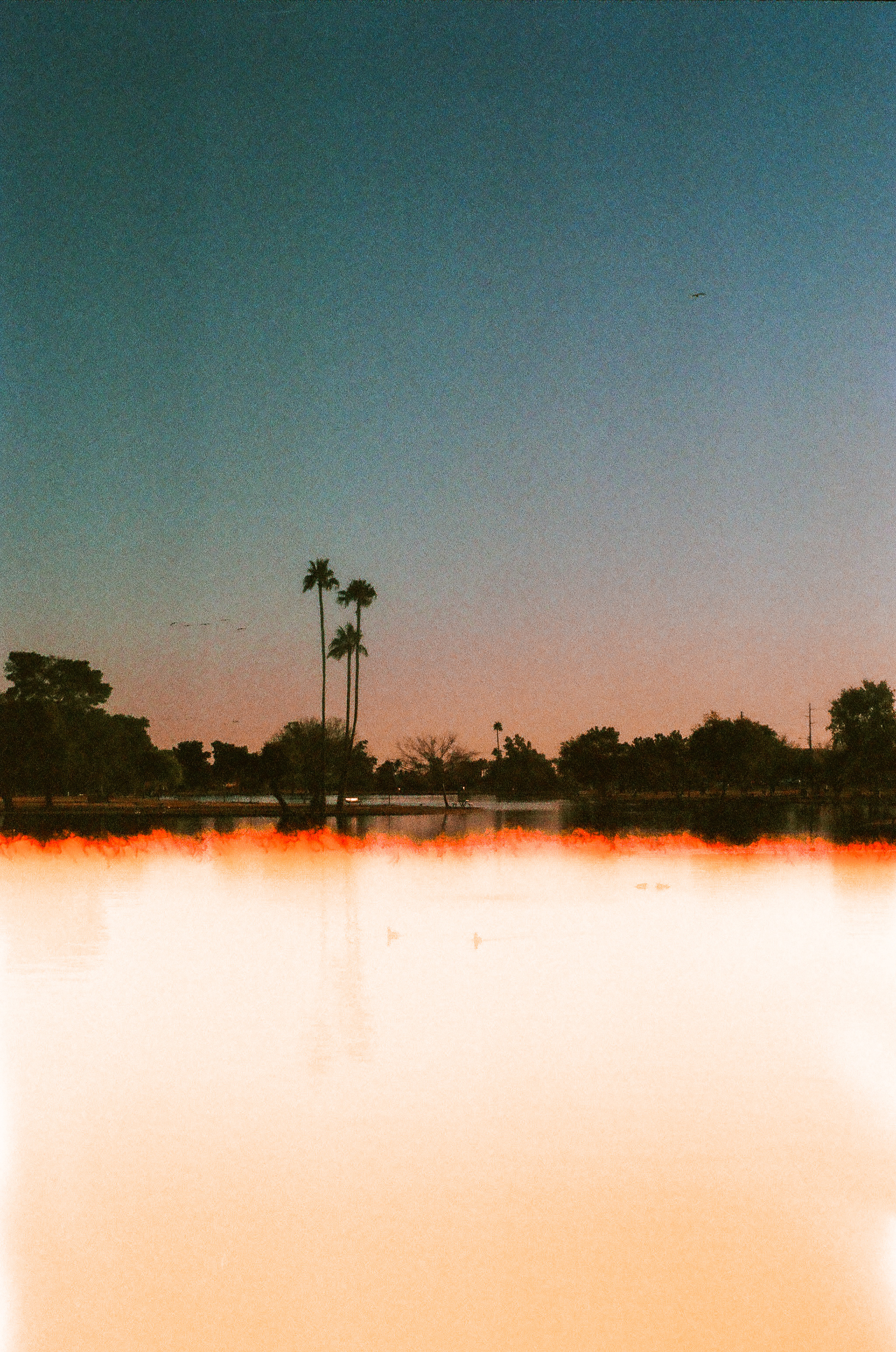 LA