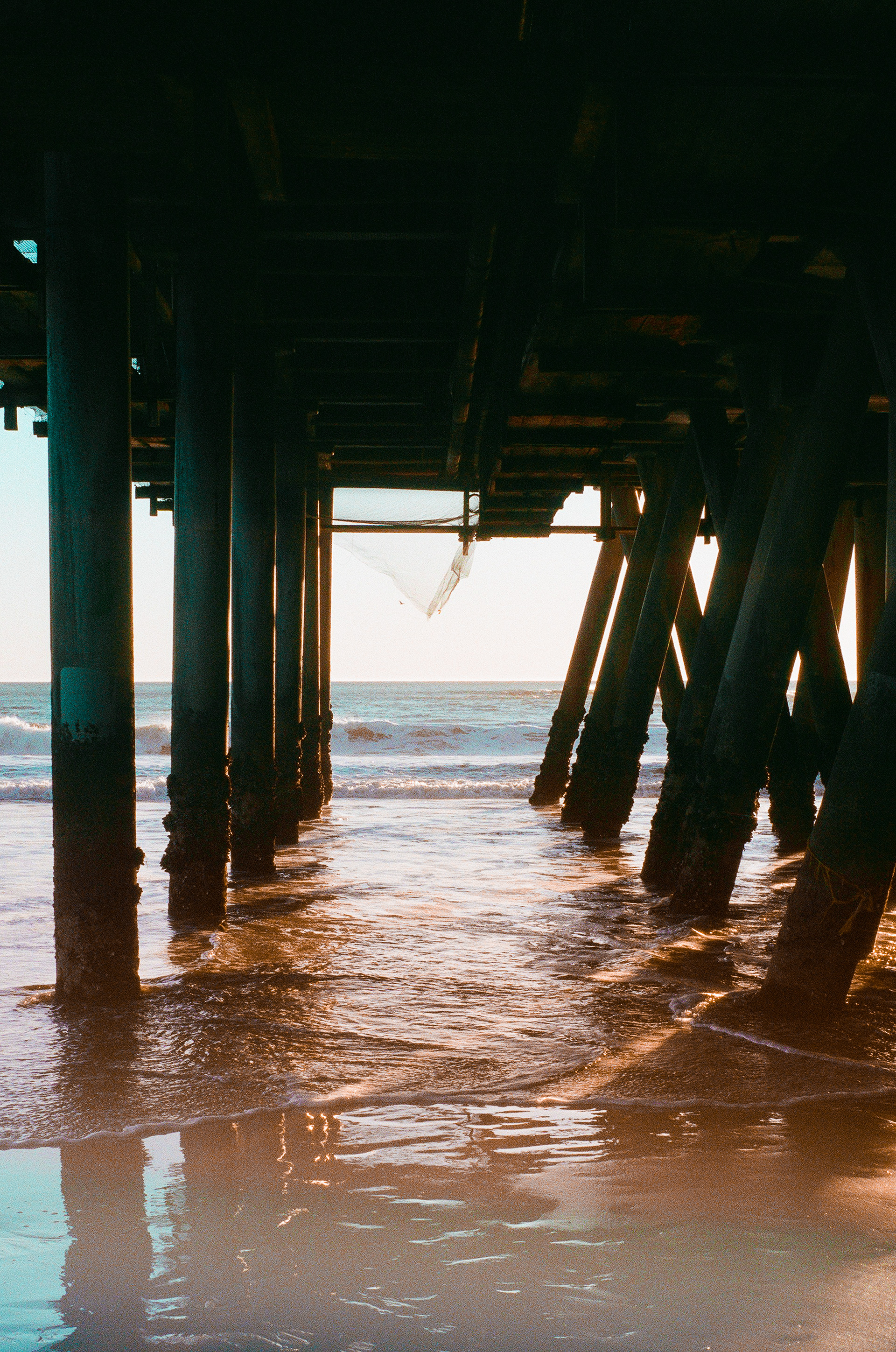 Santa Monica