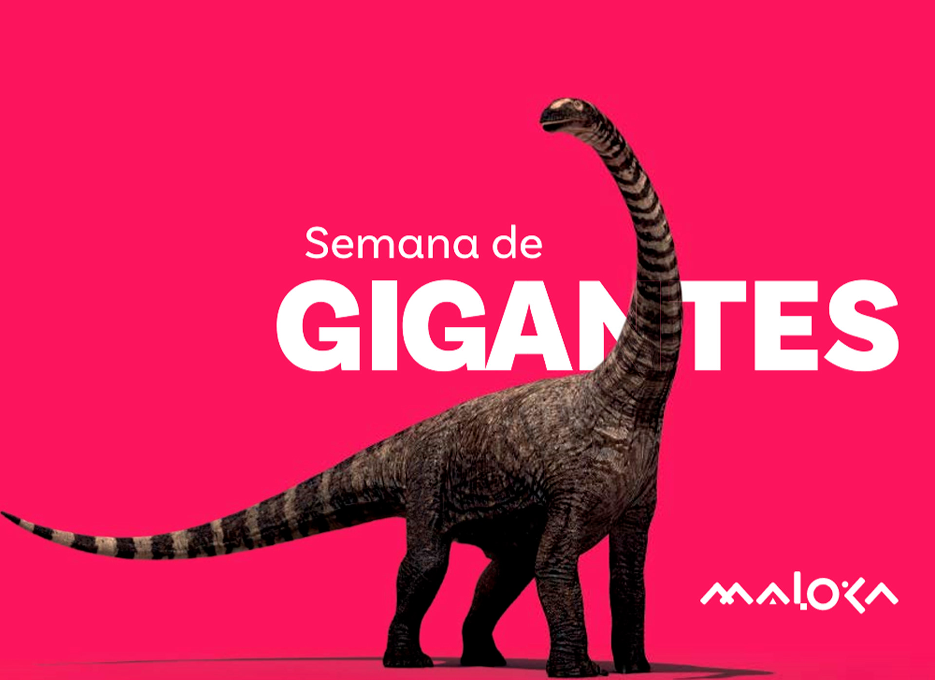 Que nos hiciera imaginar