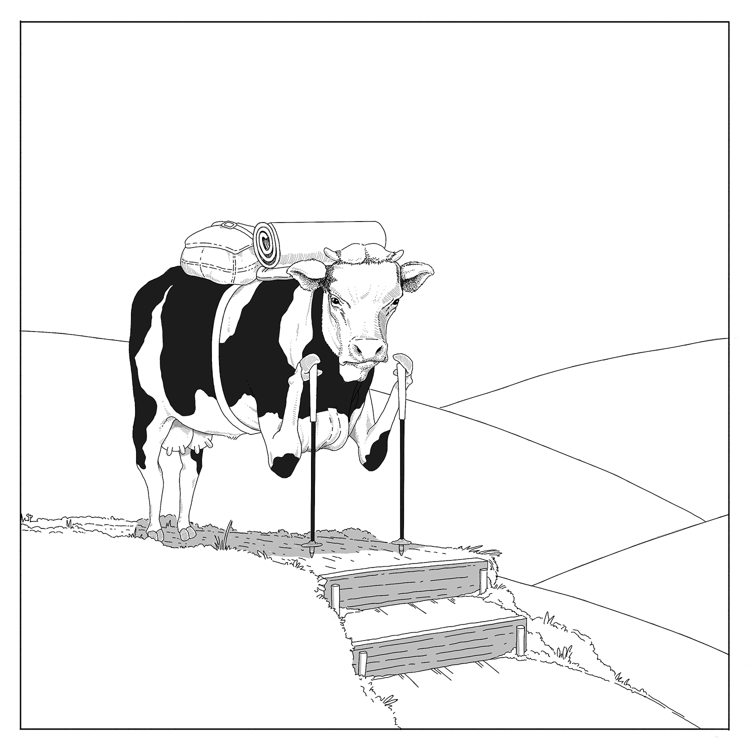 A humorous editorial illustration of a cow wearing a hiker's backpack and holding trekking poles, hesitating at the top of a set of steps.